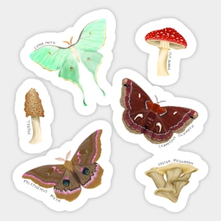 Mushrooms and Moths Sticker